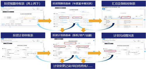 集團投資管理 有效防范項目風險，提升風控能力